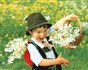 Rakousko - Solná komora - Festival narcisů - 