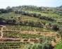 Portugalsko - Velká cesta Portugalskem - 