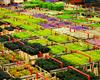 Holandská mozaika s návštěvou výstavy Floriade -  - 