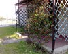 Rosolina Mare / Villa Laura -  - 