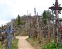 Pobaltí-Rusko - Petrohrad, Novgorod, Moskva - 