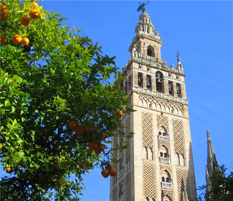 Sevilla – věž Giralda tyčící se nad městem | V rytmu žhavé Andalusie
