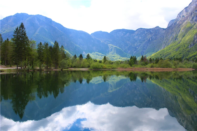 Jezero Bohinj s odrazem hor ve Slovinsku | Slovinsko křížem krážem