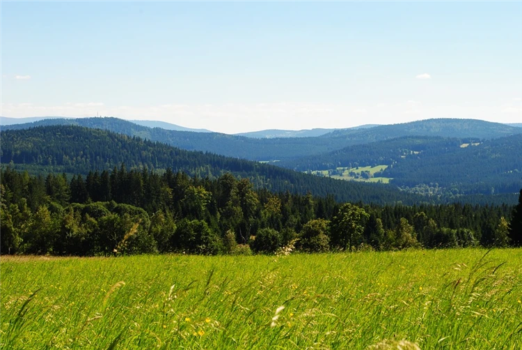Typická šumavská krajina s mlhou | To nejlepší ze Šumavy