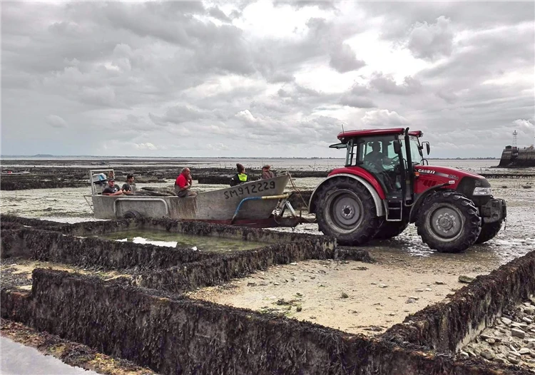 Přístav Cancale s výhledem na zátoky v Bretani | Tajuplná Bretaň a drsná krása Normandie
