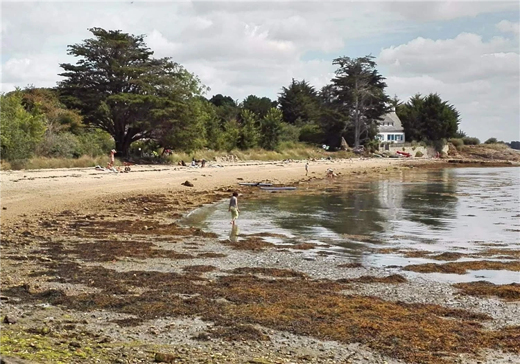 Útesy Étretat s průlezy v normandském pobřeží | Tajuplná Bretaň a drsná krása Normandie