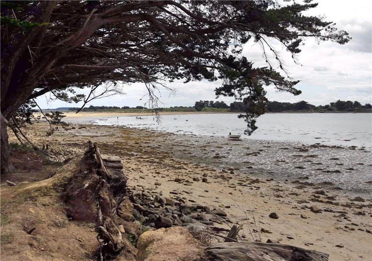 Klidné zátoky ostrova Île d'Arz v Bretani | Tajuplná Bretaň a drsná krása Normandie