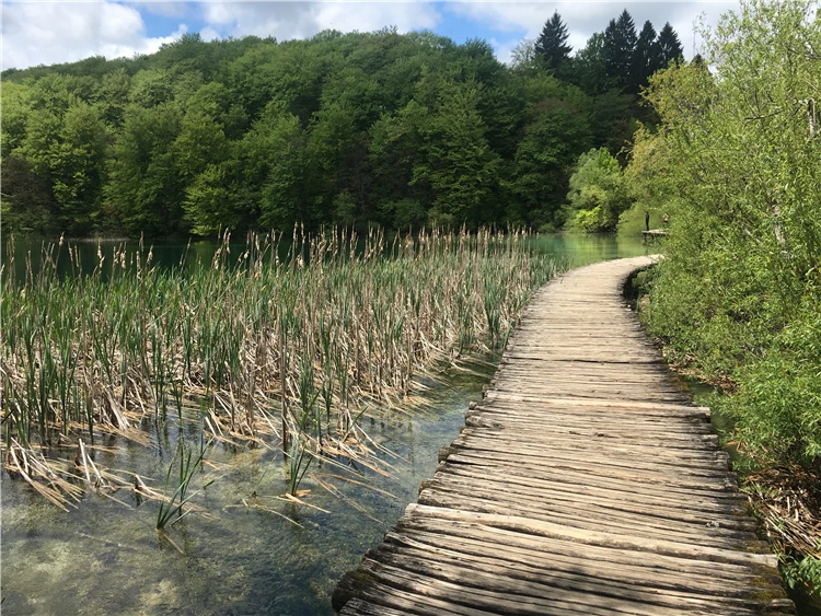 Tyrkysová Plitvická jezera obklopená hustým lesem | Národní parky Chorvatska - Plitvice, Kornati a starobylý Zadar