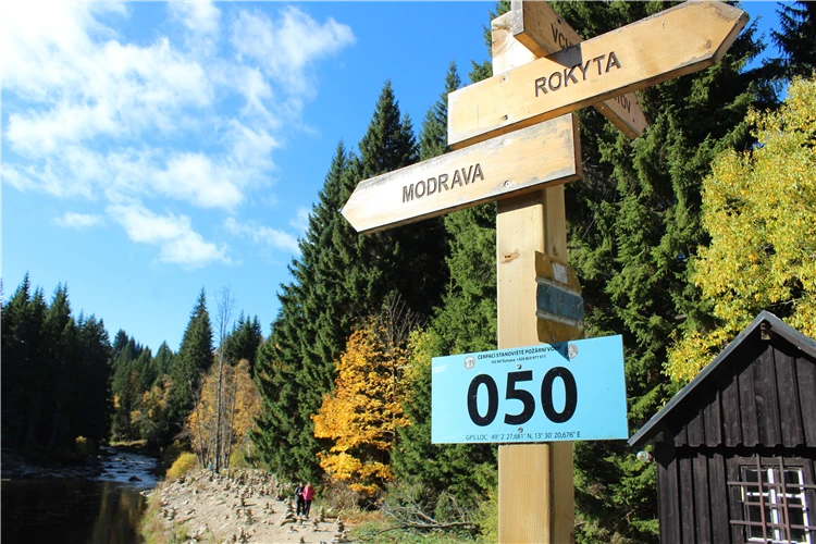 Výhled na šumavské hory a lesy | To nejlepší ze Šumavy