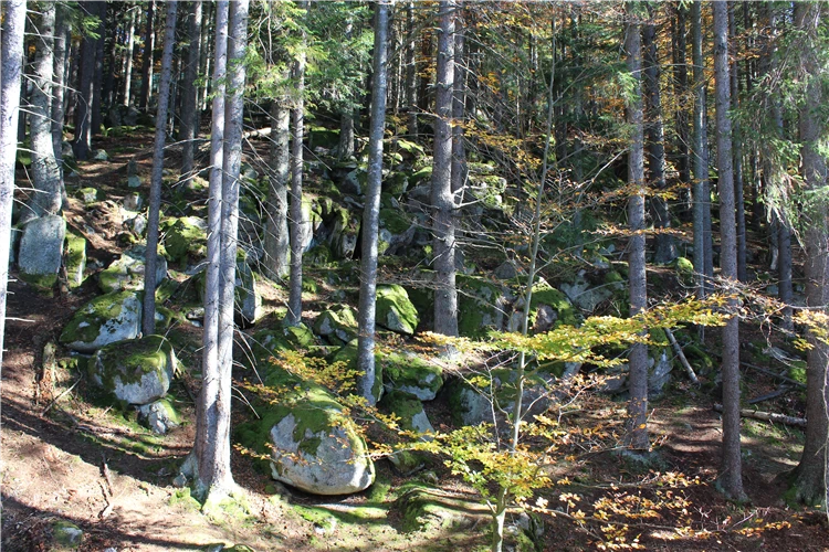 Šumavská krajina na podzim | To nejlepší ze Šumavy