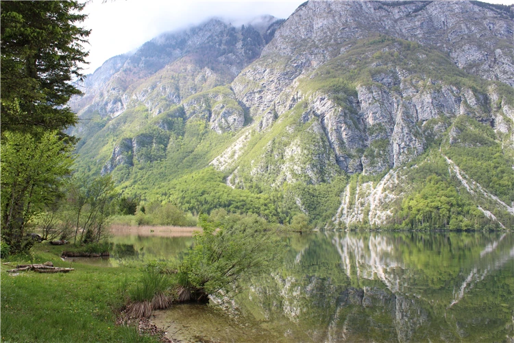 Klidné horské jezero s odrazem skalnatých hor porostlých lesem | Slovinsko křížem krážem