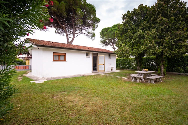 Venkovní bazén vily Sayonara v Lignanu za slunečného dne | Lignano / Villa Sayonara