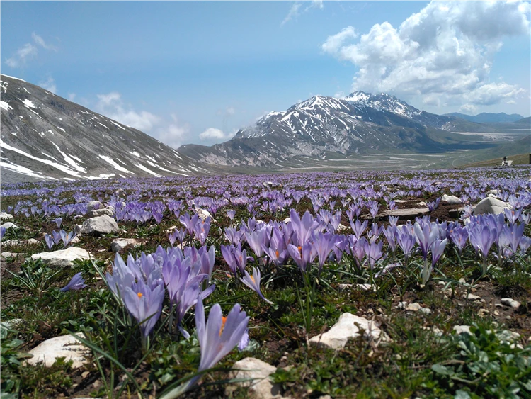 Horský masiv Gran Sasso v národním parku Abruzzo | Palmová riviéra pro gurmány s koupáním