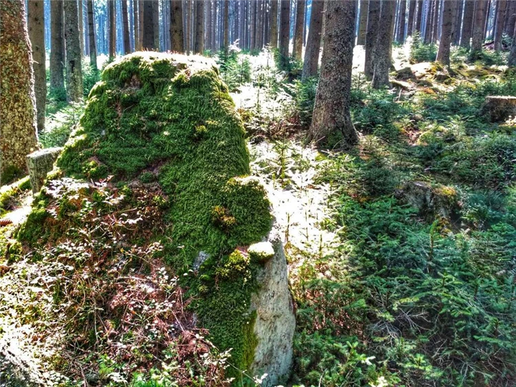 Podmanivá krajina Novohradských hor