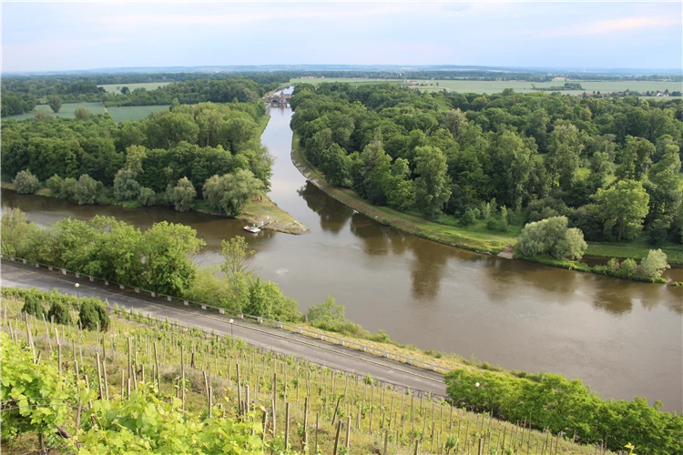 Detail přírodní scenérie v Kokořínském dolu | Kokořínsko - malebnou krajinou Máchova kraje
