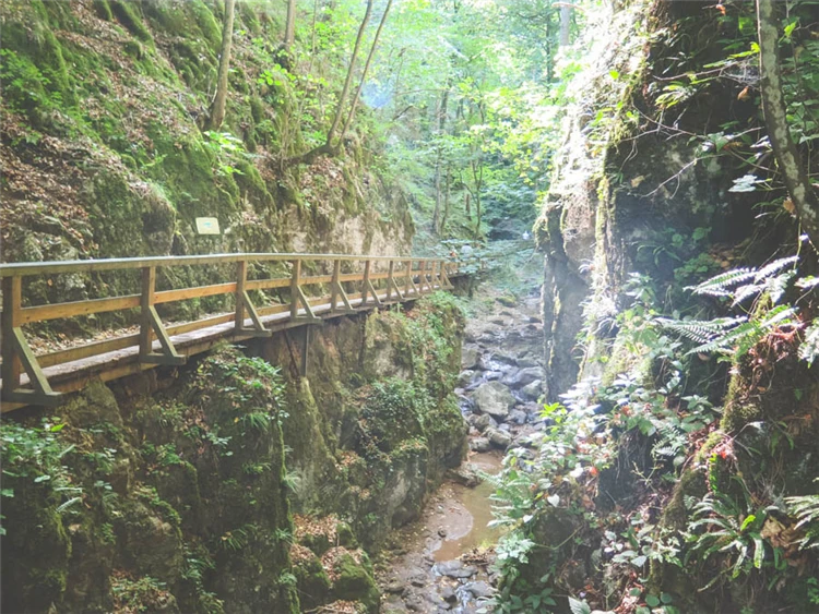 Lávka nad potokem v soutěsce Johannesbachklamm | Schneeberg a Jánská soutěska