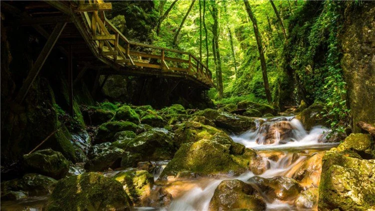 Jánská soutěska (Johannesbachklamm) u obce Würflach v Dolním Rakousku | Schneeberg a Jánská soutěska