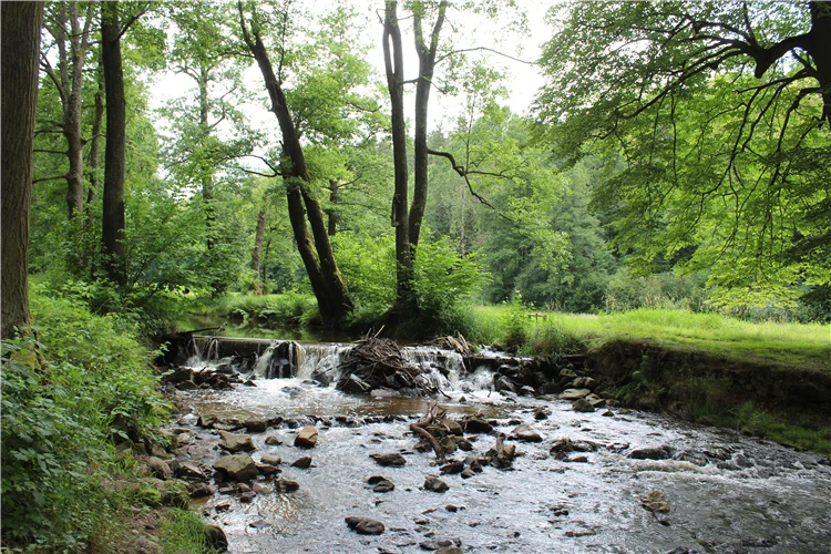 Podmanivá krajina Novohradských hor