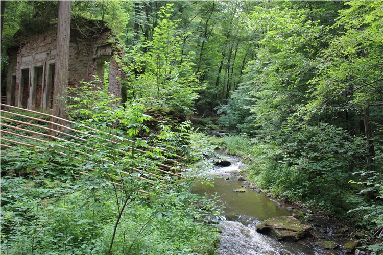 Podmanivá krajina Novohradských hor