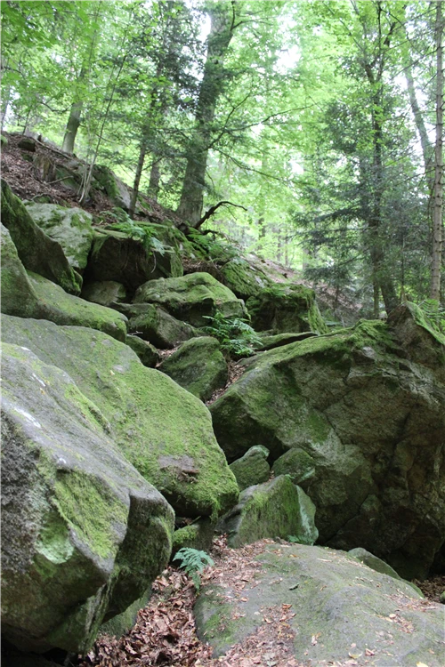 Podmanivá krajina Novohradských hor