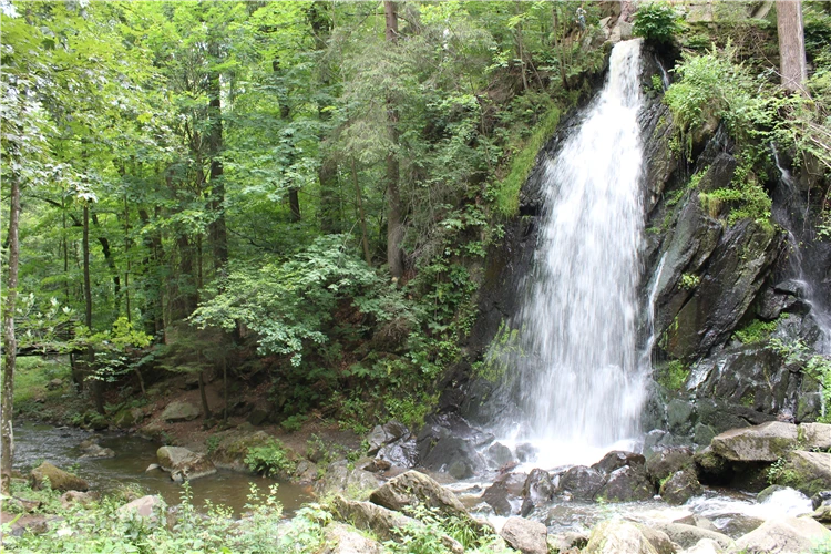 Podmanivá krajina Novohradských hor