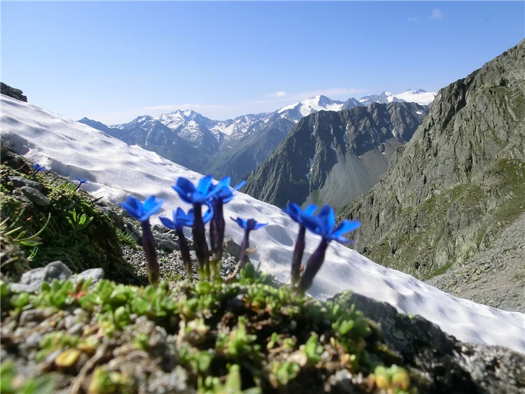 Tyrolský hřeben Bassler Joch s výhledem na okolní vrcholy | Tyrolsko - svět ledovců a vodopádů