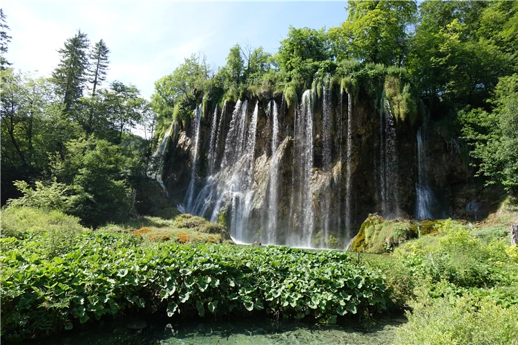 Hustý les a průzračné jezero v Plitvických jezerech | Národní parky Chorvatska - Plitvice, Kornati a starobylý Zadar