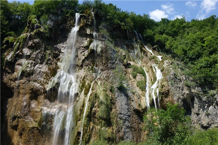 Průzračné jezero obklopené lesem v Plitvických jezerech | Národní parky Chorvatska - Plitvice, Kornati a starobylý Zadar