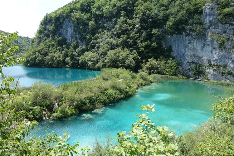 Vodní hladina a zelené břehy Plitvických jezer | Národní parky Chorvatska - Plitvice, Kornati a starobylý Zadar