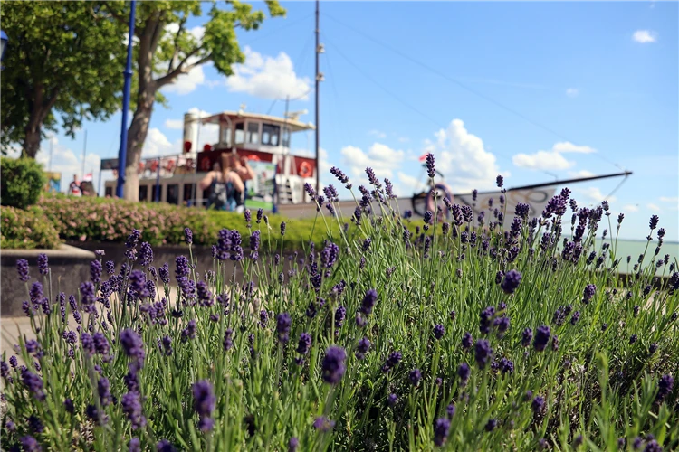 Letní dovolená u Balatonu v Maďarsku | Balaton - maďarské moře