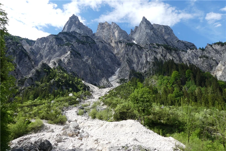 Alpská louka s výhledem na zasněžené vrcholy | Den v NP Berchtesgaden - solné doly a soutěska
