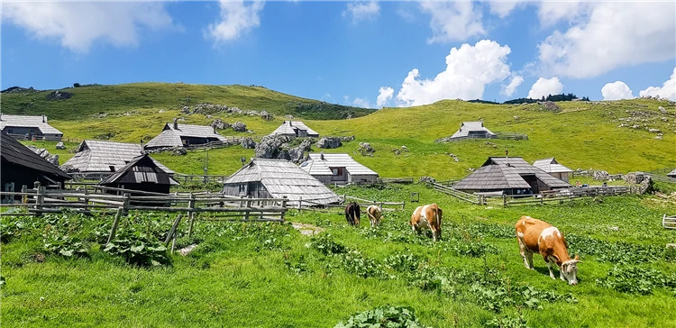 Velika Planina – pastvinná náhorní plošina ve Slovinsku | Za pohodovou turistikou do Slovinska a Itálie