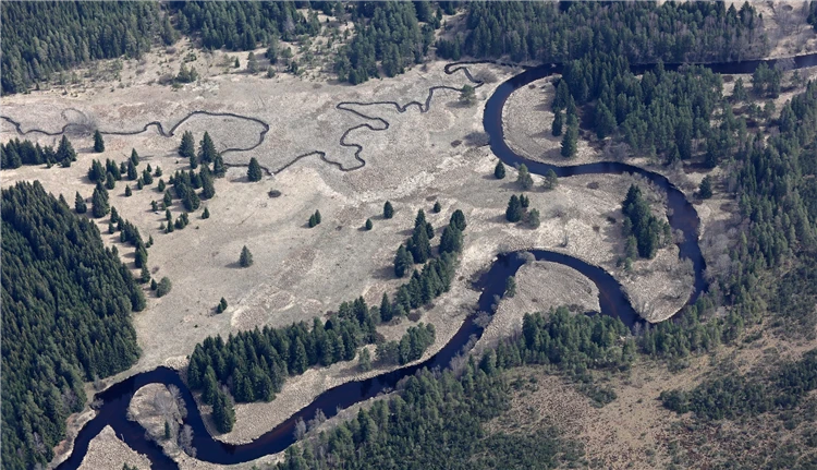 Meandry řeky na Šumavě z ptačí perspektivy | To nejlepší ze Šumavy