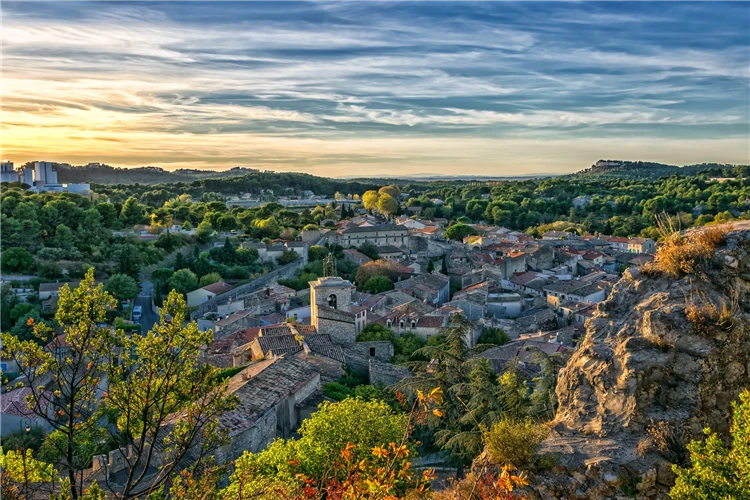 Provensálská krajina s olivovými háji | Skryté perly Provence - program s koupáním v moři, jezeře i řece