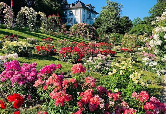 Zámek Laxenburg a slavnosti růží v Badenu - Rakousko