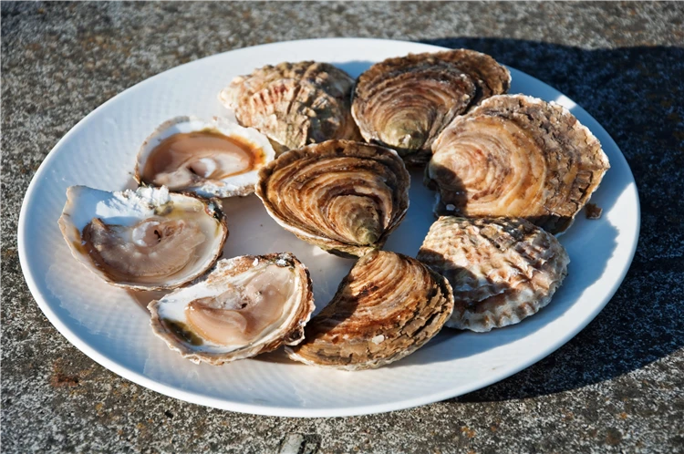 Čerstvé ústřice z bretaňského Cancale na trhu | Tajuplná Bretaň a drsná krása Normandie