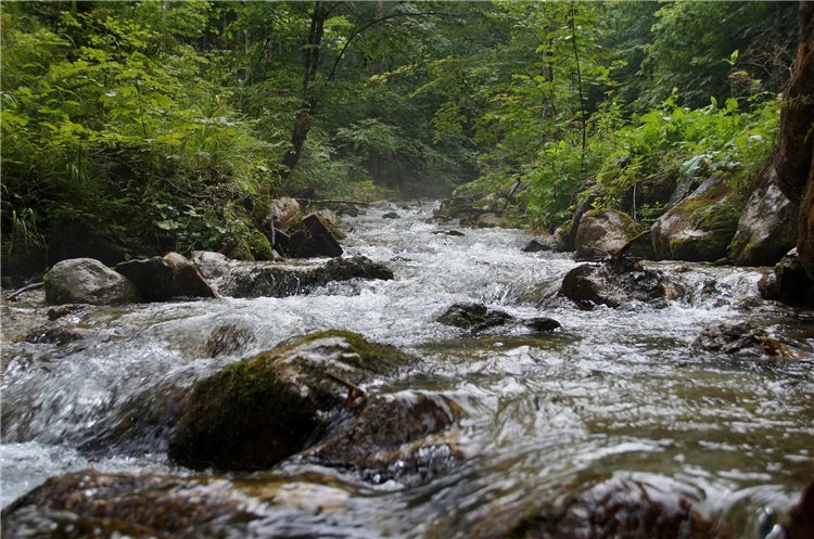 Malebná alpská krajina s horami a zelenými údolími | Divoká ptačí soutěska