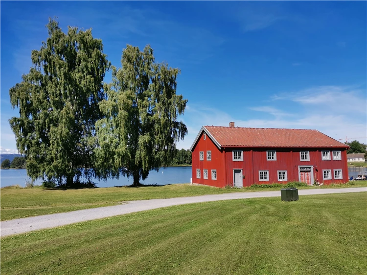 Skalnaté norské pobřeží s klidnou hladinou fjordu v poledne | Ztraceni mezi fjordy – okruh Skandinávií