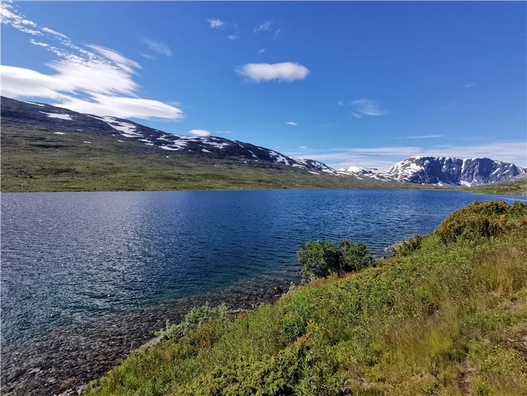 Norský fjord s průzračnou vodou a zalesněnými svahy | Ztraceni mezi fjordy – okruh Skandinávií