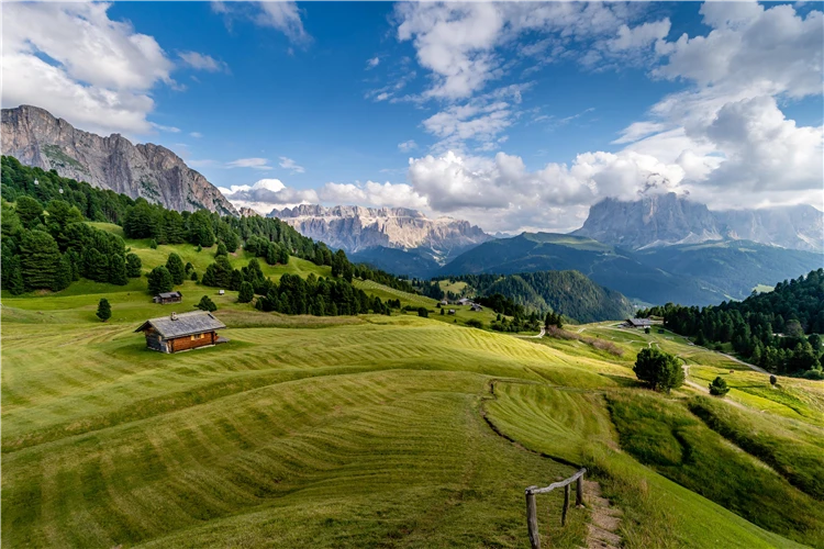 Rozkvetlé alpské pole v Jižním Tyrolsku | Dolomity a jižní Tyrolsko - dobrodružství v srdci přírody