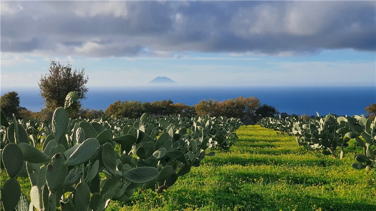 Sopka Stromboli s dýmem nad hladinou moře | Kalábrie všemi smysly