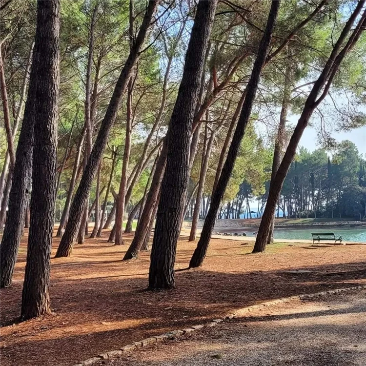 Apartmánový dům Sojka u pláže Cuvi v Rovinje | Rovinj / Apartmánový dům Sojka