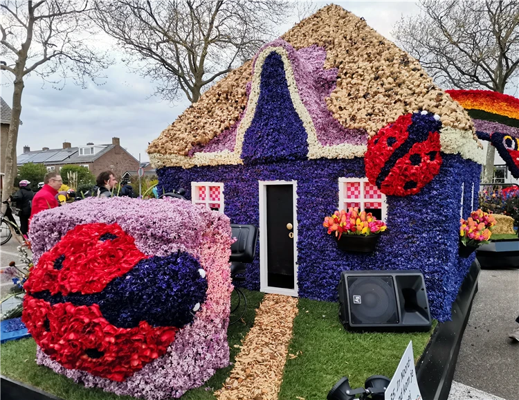 Večerní kanály Amsterdamu s odrazem světel | Holandsko s květinovým korzem