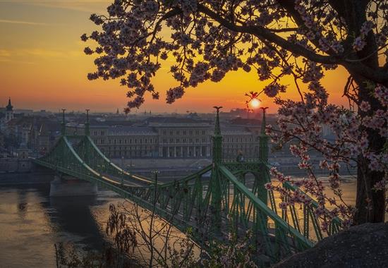 Budapešť a její blízké okolí v době květu sakur - Maďarsko