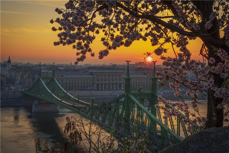 Most přes Dunaj v Budapešti za slunečného dne | Budapešť a její blízké okolí s návštěvou Tropicaria