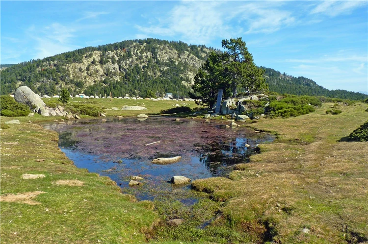 Zelené údolí Cerdagne v Pyrenejích | Katarské hrady, Andorra a francouzské Pyreneje