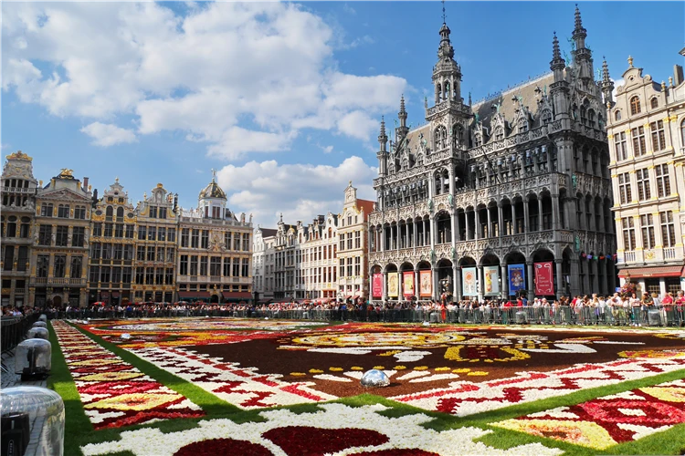 Grand Place v Bruselu – pohled na historické náměstí s ozdobenými fasádami | Belgie a Lucembursko s květinovým kobercem