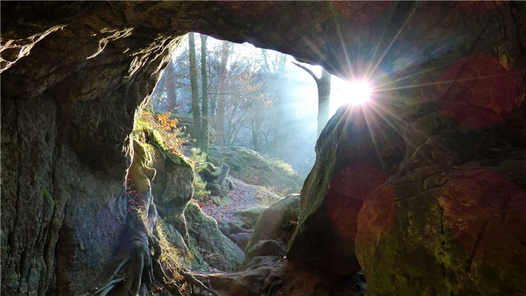 Mullerthal – skalnaté lesní údolí v Lucembursku | Belgie a Lucembursko s květinovým kobercem