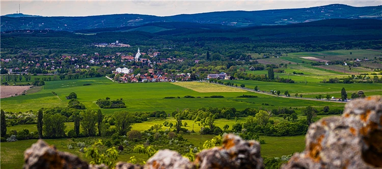 Kvetoucí pole v maďarské krajině u Balatonu | Prázdniny u Balatonu