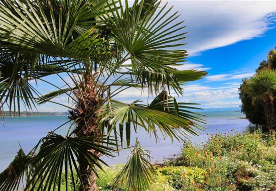 Bodamské jezero a květinový ostrov Mainau - Německo
